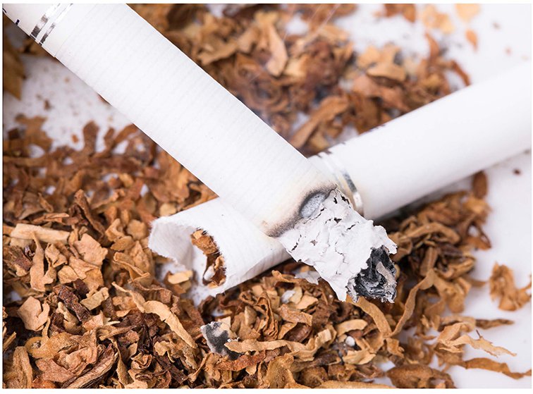 MS2Vertical9100 液相質譜聯用系統(tǒng)測定煙草特有N-亞硝胺解決方案